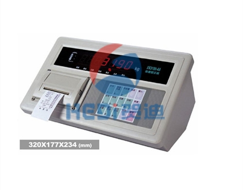 中卫XK3190-A9称重专用仪表